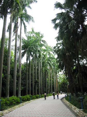 Botanischer Garten