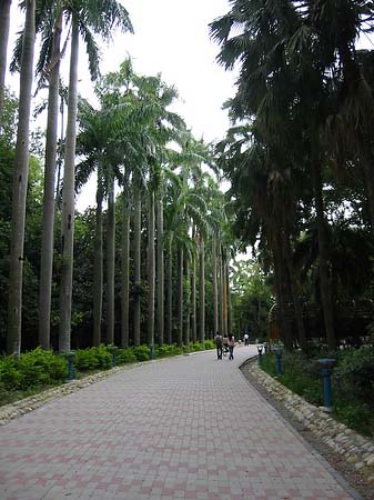 Foto Botanischer Garten