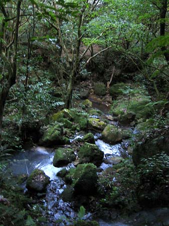 Yangminshan