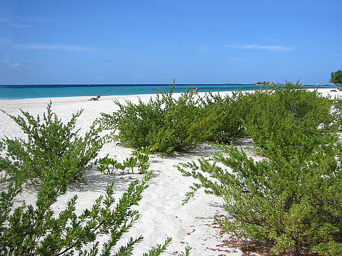 Blick auf das Meer Foto 