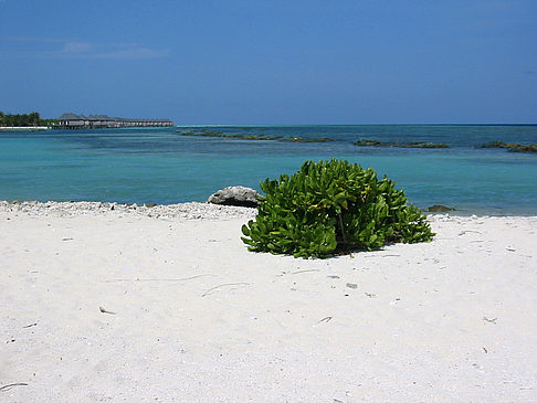 Foto Blick auf das Meer