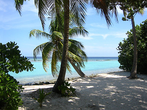 Foto Blick auf das Meer - 