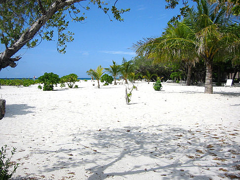 Foto Der weiße Sandstrand - 