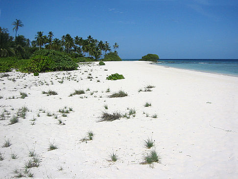 Fotos Der weiße Sandstrand