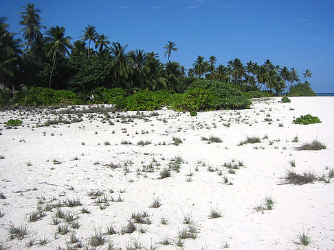 Der weiße Sandstrand Fotos