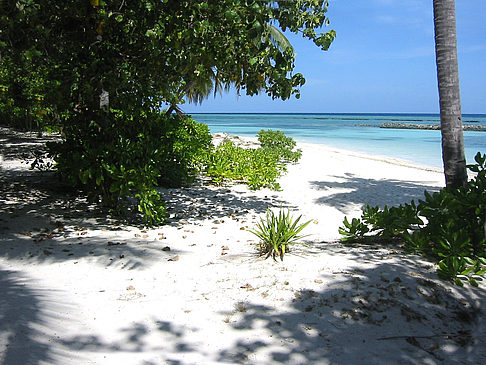 Der weiße Sandstrand Foto 