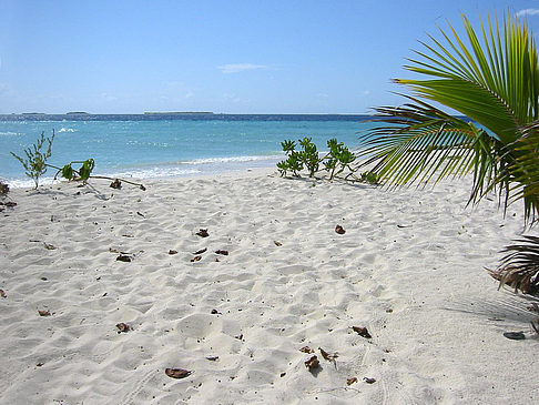 Der weiße Sandstrand Foto 