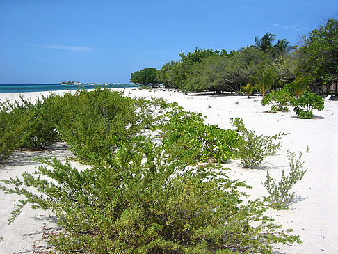 Der weiße Sandstrand