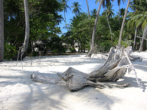 Foto Der weiße Sandstrand