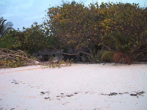 Der weiße Sandstrand der Malediven Foto 