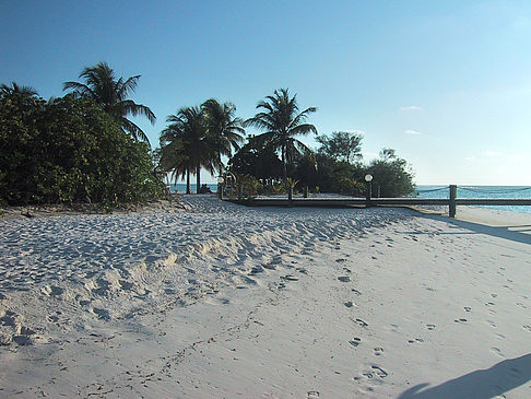 Der weiße Sandstrand der Malediven Fotos