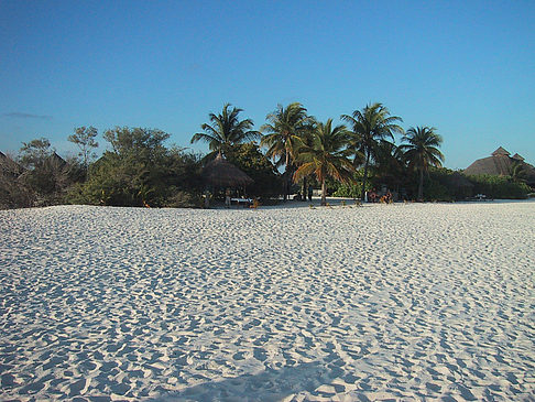 Fotos Der weiße Sandstrand der Malediven