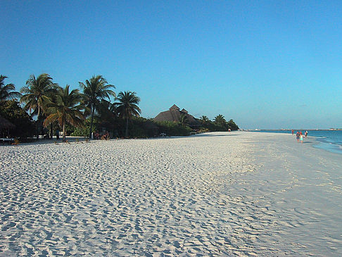 Fotos Der weiße Sandstrand der Malediven | 