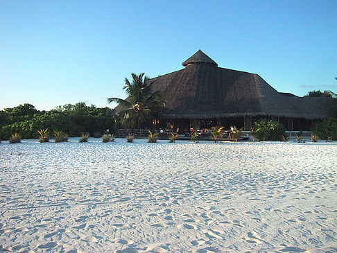 Foto Der weiße Sandstrand der Malediven