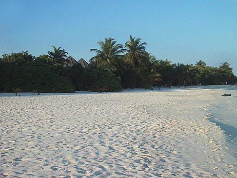 Foto Der weiße Sandstrand der Malediven - 