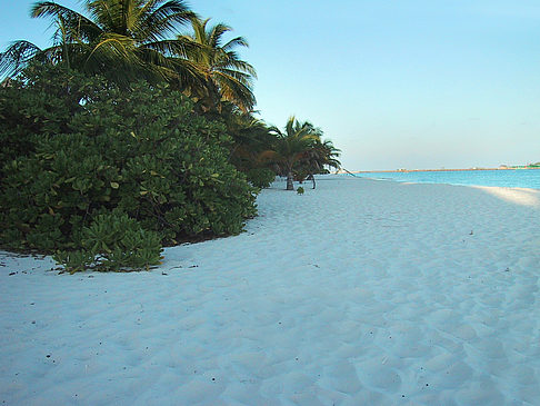 Foto Der weiße Sandstrand der Malediven - 