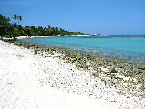 Felsiger Strand Foto 