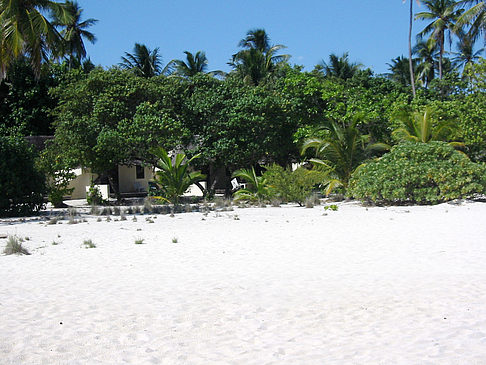 Wohnungen am Strand Foto 