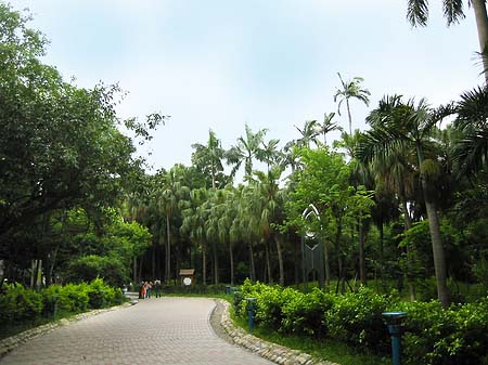 Botanischer Garten Foto 