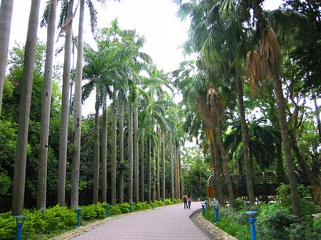 Foto Botanischer Garten