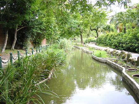 Foto Botanischer Garten