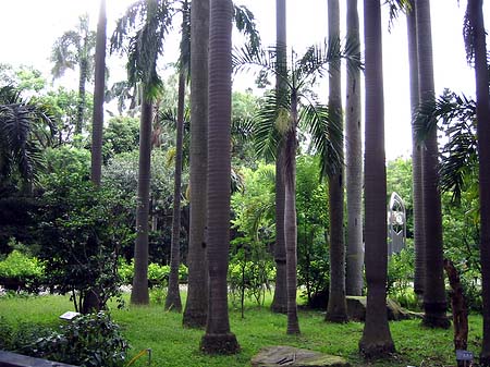 Fotos Botanischer Garten