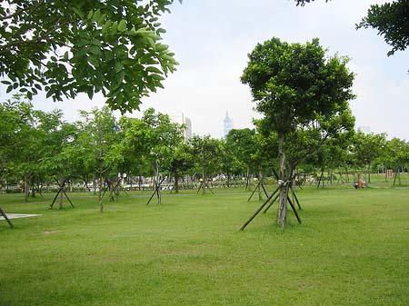 Foto Daan Park - Taipeh