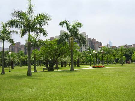 Foto Daan Park - Taipeh