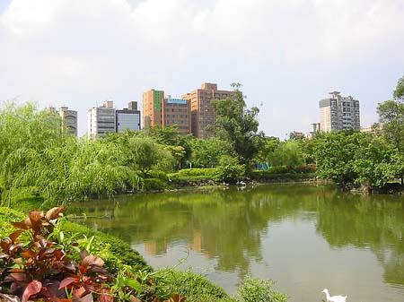 Fotos Daan Park | Taipeh