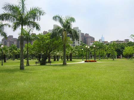 Fotos Daan Park | Taipeh