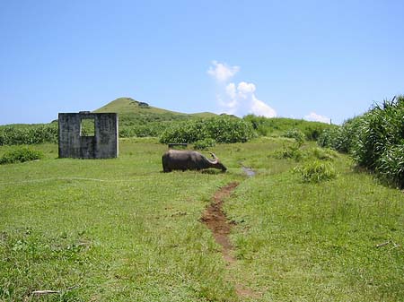 Green Island