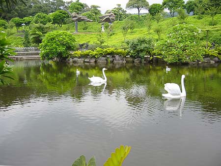 Foto Juming Museum