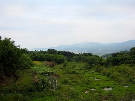 Juming Museum