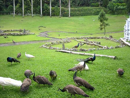 Sun Moon Lake