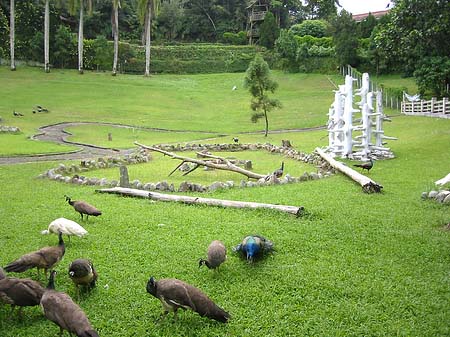 Foto Sun Moon Lake - 