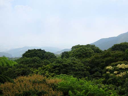 Foto Yangminshan - 